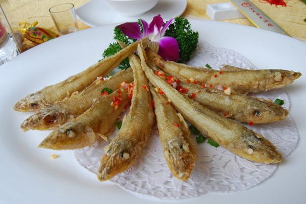 沙丁魚